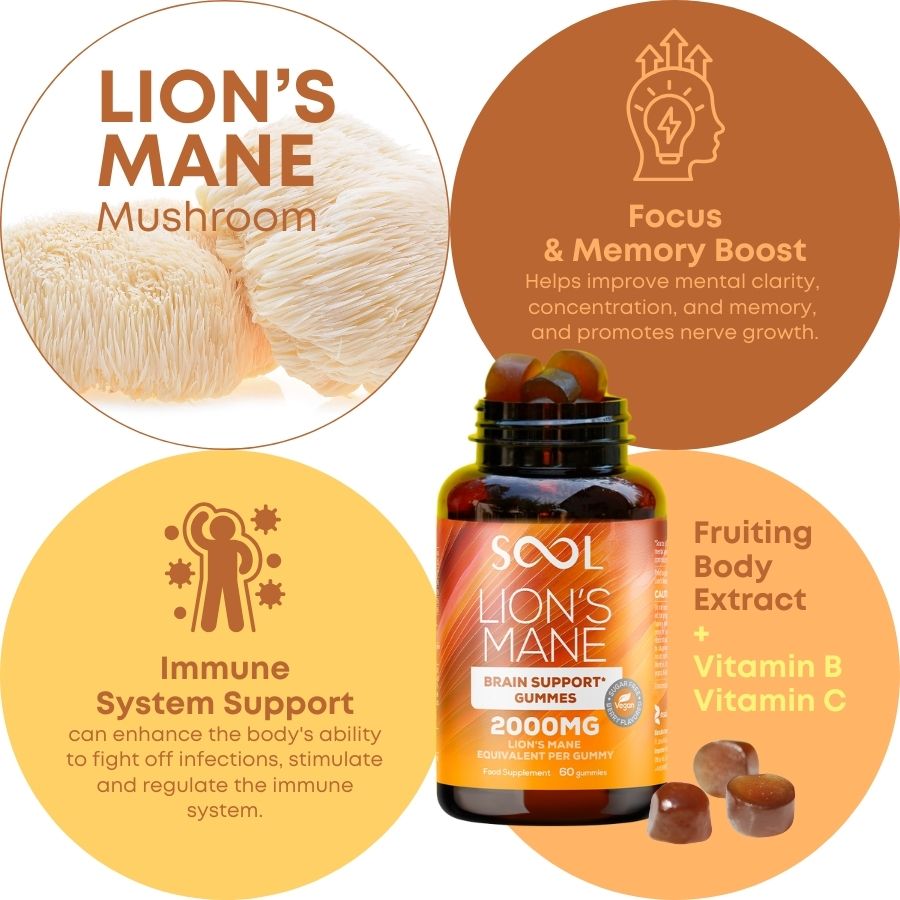 Lion`s Mane Berry Flavoured 2000 mg Benefits
