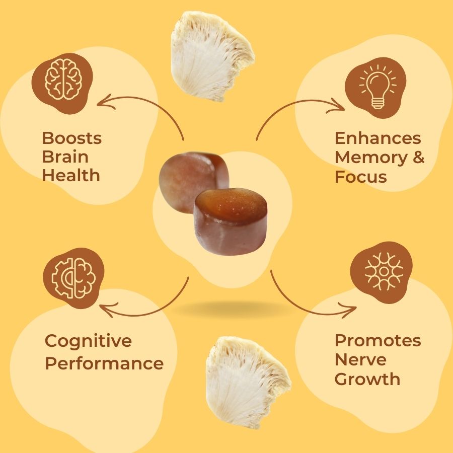 Lion`s Mane Berry Flavoured 2000 mg Benefits