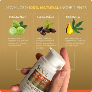Sool Cbd Day Cream Ingredients